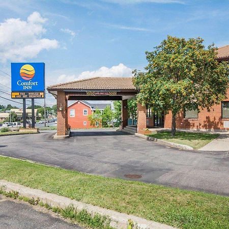 Comfort Inn Bathurst Exterior foto